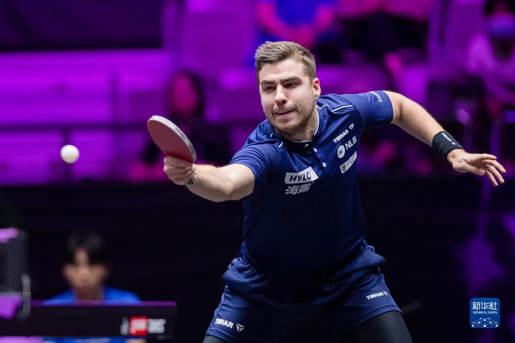 中率高达4 中率高达4