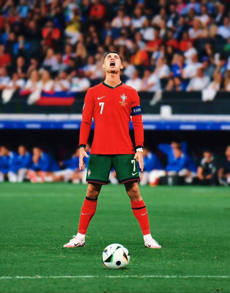 团队合作的 团队合作的