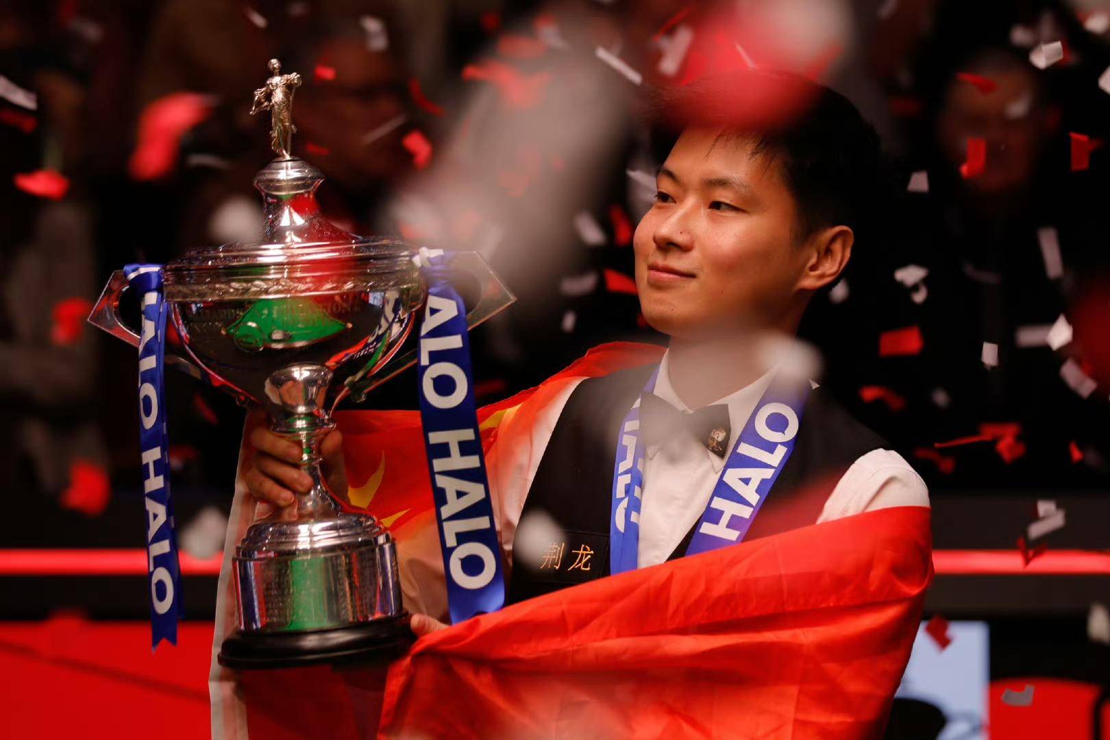 看到了羽毛 看到了羽毛